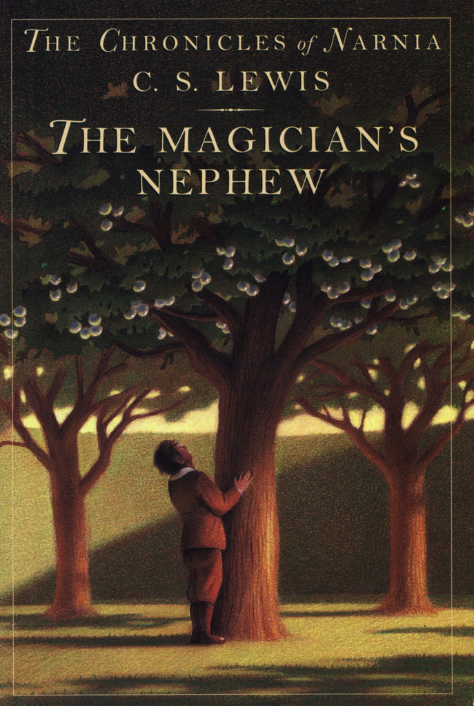 "The Magician's Nephew" by C.S. Lewis.