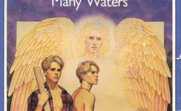 Many Waters by Madeleine L’Engle