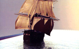 Euclid’s Wall by Michael McCollum