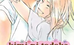 Kimi ni Todoke 25 by Karuho Shiina