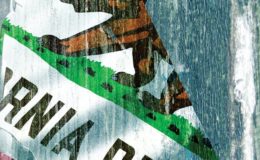 Calexit – The Anthology – edited by J.L. Curtis