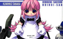 Ichigeki Sacchu!! Hoihoi-san by Kunihiko Tanaka
